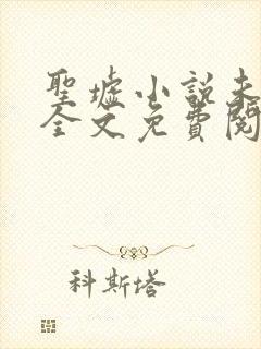 圣墟小说未删版全文免费阅读