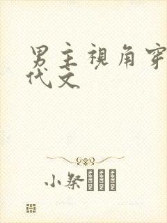 男主视角穿越年代文