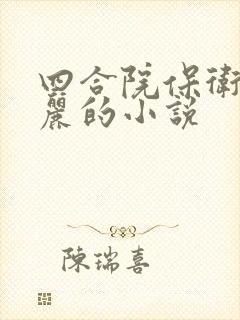 四合院保卫娶文丽的小说