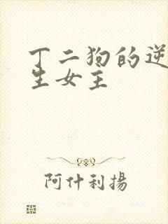 丁二狗的逆袭人生女主