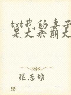 txt我的妻子是大乘期大佬