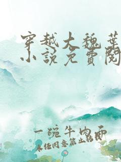 穿越大魏叶离的小说免费阅读