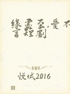 缘尽至,爱不再言短剧