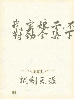 我家娘子,不太对劲全集下载