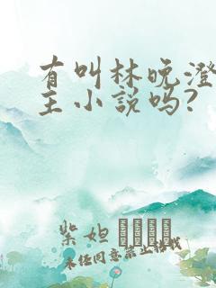 有叫林晚澄的女主小说吗?