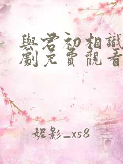 与君初相识电视剧免费观看全集高清