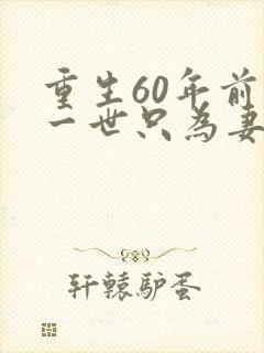重生60年前这一世只为妻儿