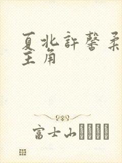 夏北许馨柔小说主角