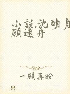 小说,沈明月,顾远舟