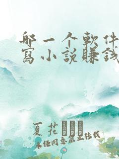 哪一个软件可以写小说赚钱