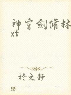 神霄剑修林枫txt