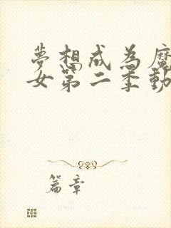 梦想成为魔法少女第二季动画免费观看