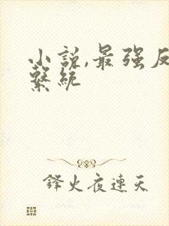 小说,最强反派系统