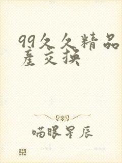 99久久精品国产交换