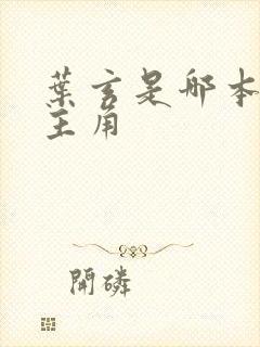 叶玄是哪本小说主角