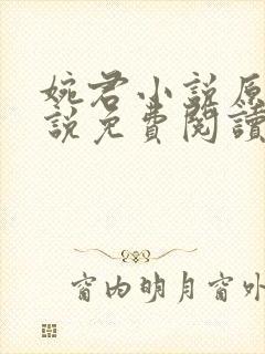 婉君小说原著小说免费阅读