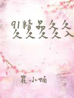 91精品久久久久久久久入口