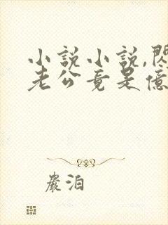 小说小说,闪婚老公竟是亿万总裁