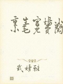 重生官场小说陈小毛免费阅读