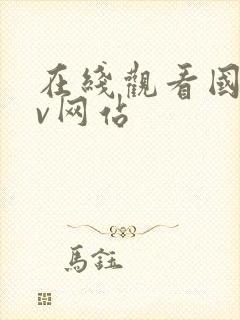 在线观看国产av网站