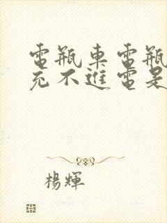 电瓶车电瓶突然充不进电是什么原因