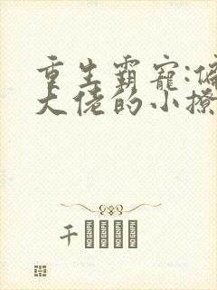 重生霸宠:偏执大佬的小撩精恃美行凶