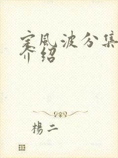 定风波分集剧情介绍