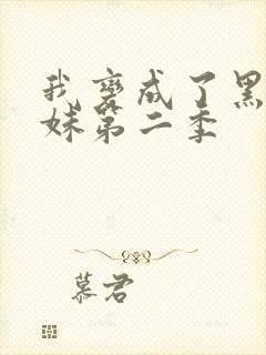 我变成了黑皮辣妹第二季