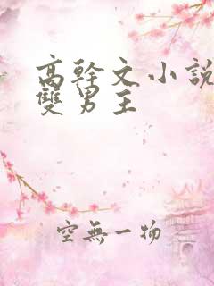 高干文小说推荐双男主