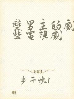 双男主的剧有哪些电视剧