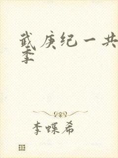 武庚纪一共有几季