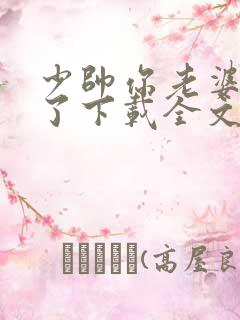 少帅你老婆又跑了下载全文