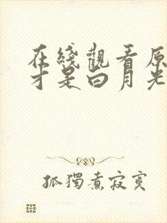 在线观看原来她才是白月光短剧免费