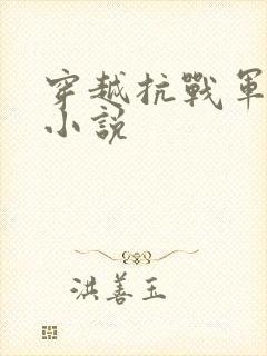 穿越抗战军火商小说