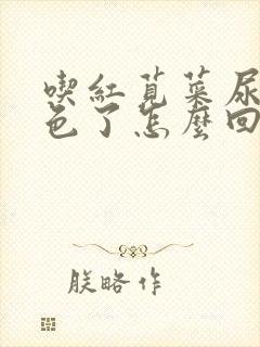 吃红苋菜尿变红色了怎么回事