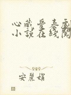 心藏爱泰剧原著小说在线阅读