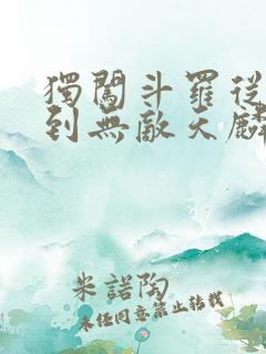 独闯斗罗从穿越到无敌天麟的小说