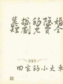 慕总的隐婚罪妻短剧免费全集免费播放