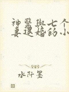 神医与七个未婚妻退婚的小说