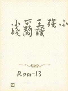 小可王强小说在线阅读