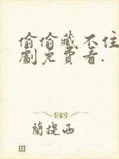 偷偷藏不住电视剧免费看.