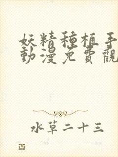 妖精种植手册二动漫免费观看