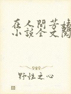 在人间芳姨阿伟小说全文阅读