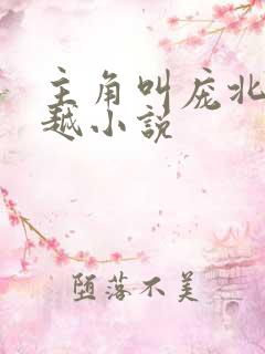 主角叫庞北的穿越小说