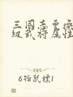 三国志曹操传满级武将属性