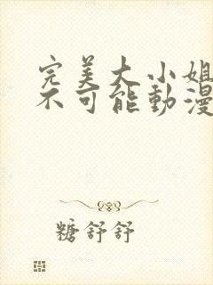 完美大小姐我才不可能动漫