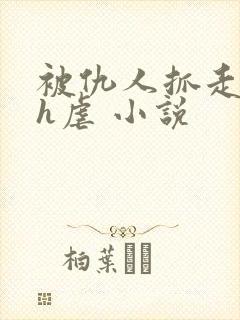 被仇人抓走囚禁h虐 小说