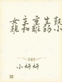 女主重生鼓励娘亲和离的小说