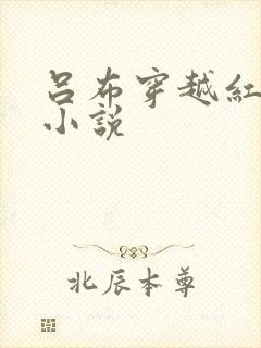 吕布穿越红楼的小说