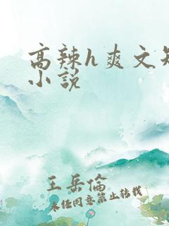 高辣h爽文短篇小说